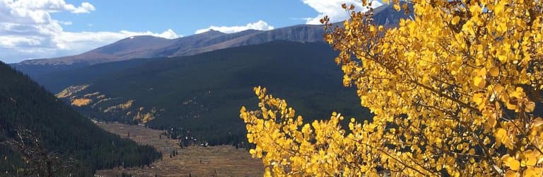 Fall at its best
