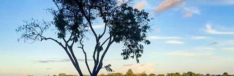Laguna de Yarinacocha desde el poblado de San José