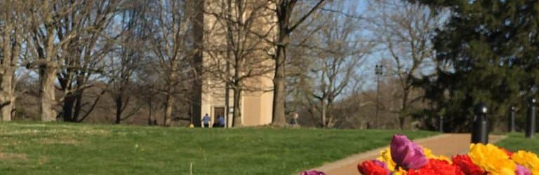 It's beautiful and family friendly!