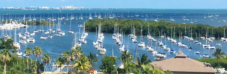 View from the Sonesta Hotel Coconut Grove