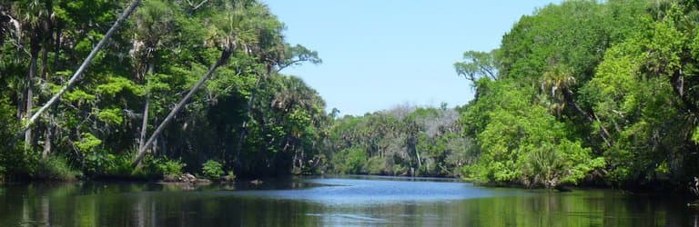 Cracker Creek