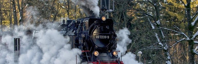 Der Dampfzug verlässt den Bahnhof in richtung Brocken