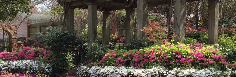 The owners welcomed us to walk through their gorgeous back yard.