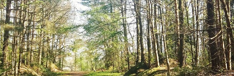 Twywell Hills and Dales