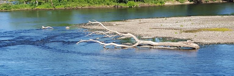 Beaver Islands Trail
