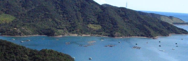 穏やかな秋の島田島