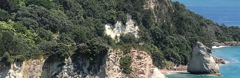 Cathedral Cove Lookout