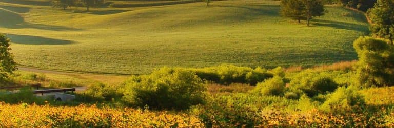 Photo: Simone Collins Landscape Architects