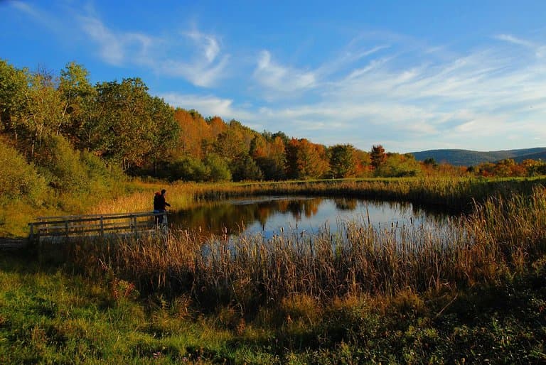 Fall foliage at Tanglewood Nature Center.