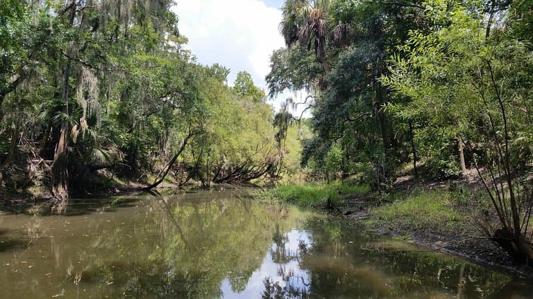 The Alafia. A bit low-water depth at the launch dock was only 3-4".