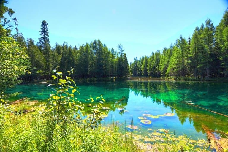 View over the spring