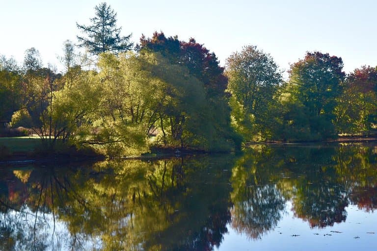 Early morning solitude