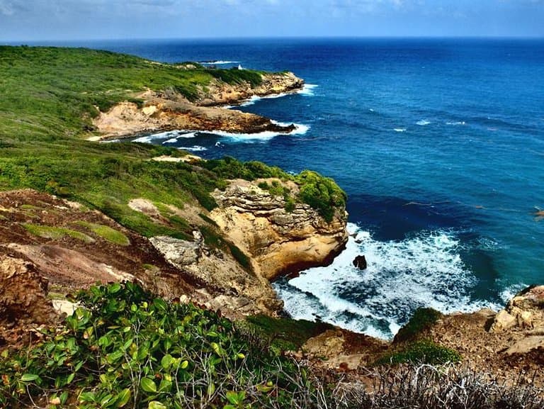 comme la cote sauvage