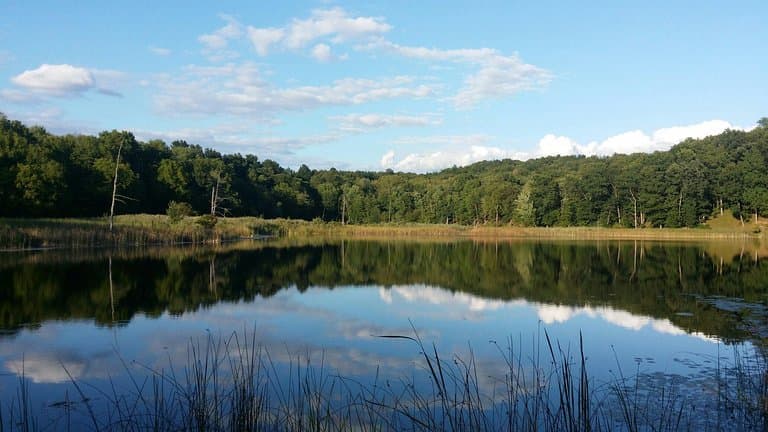 Amazing lakes and ponds
