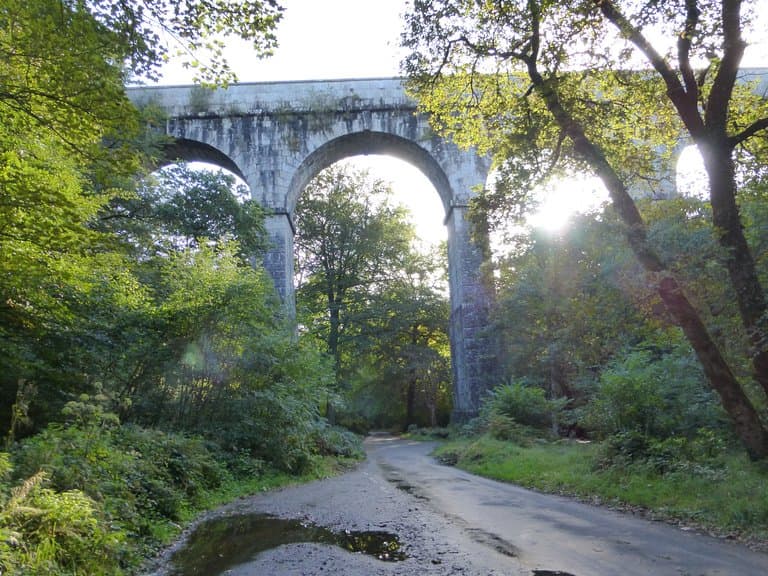 Luxulyan Valley