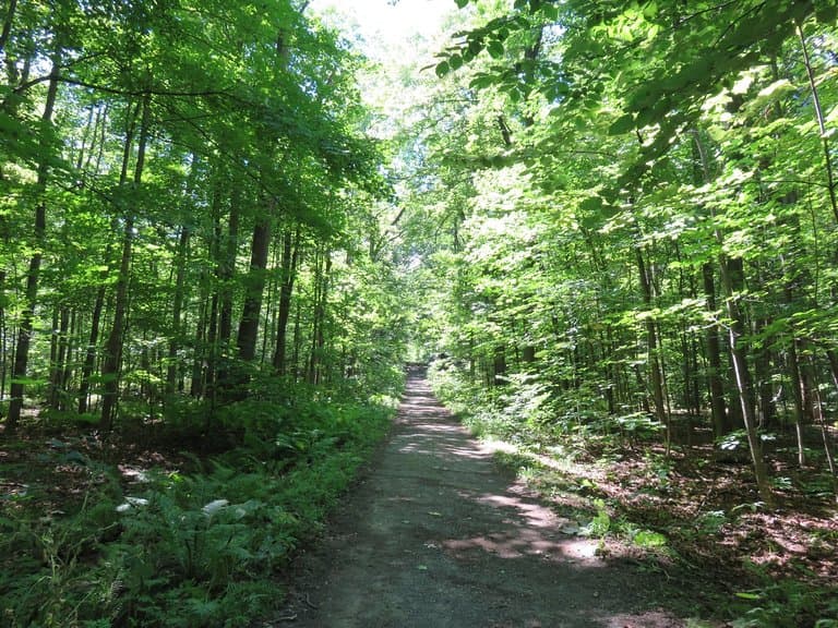 Park trail