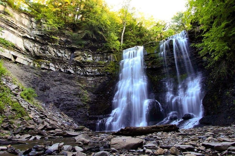 Plotter Kill Preserve