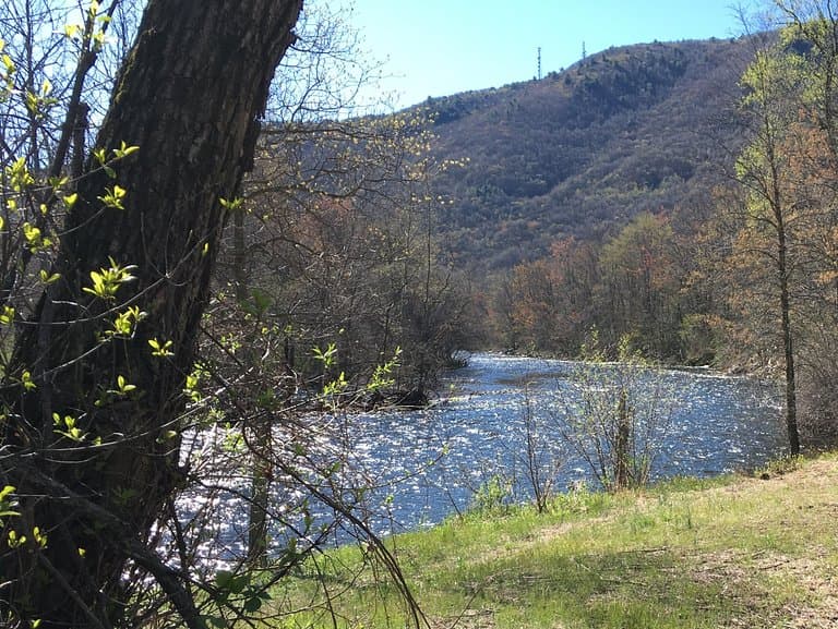 Thus was taken in a picnic area that is available to rent.