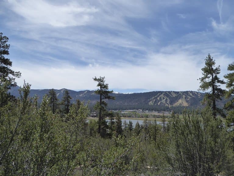 Woodland Interpretive Trail