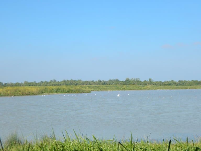 Vu de l'observatoire 2 (La Tonne)