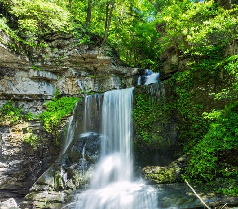Cow Shed Falls, at the bottom of the glen