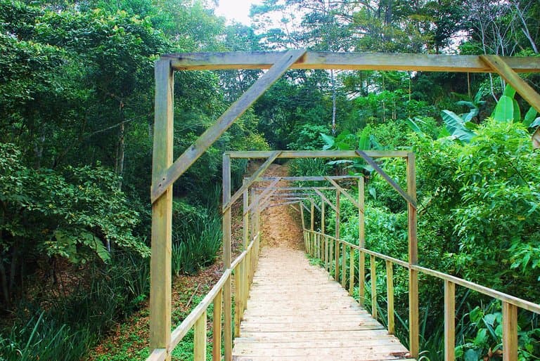 senderos artificiales