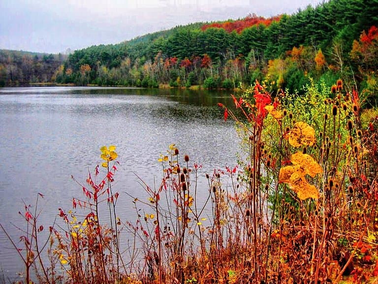 Two Rivers State Park
