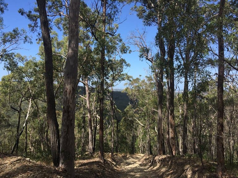 Nerang_3
