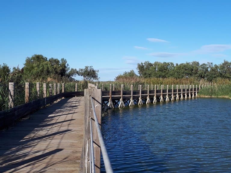 Ponton
