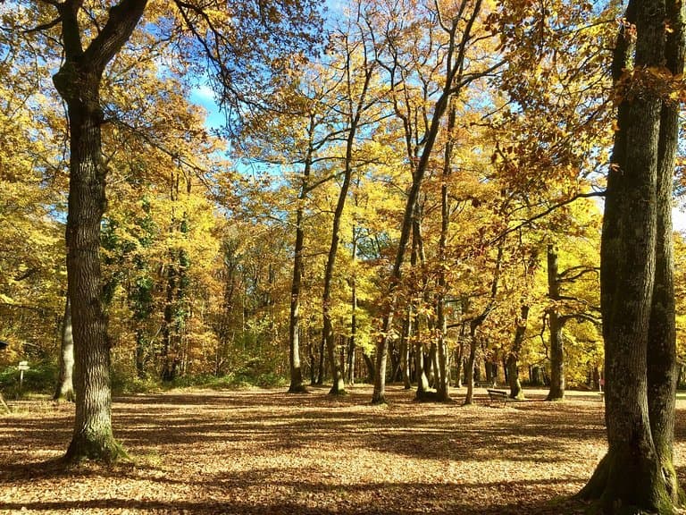 Balade d’automne