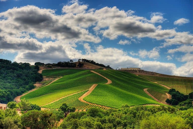 DAOU Mountain