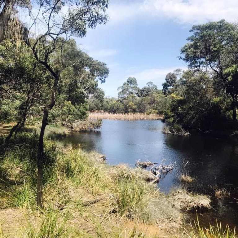 Ocean Grove Nature Reserve