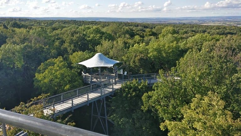 Baumkronenpfad Hainich