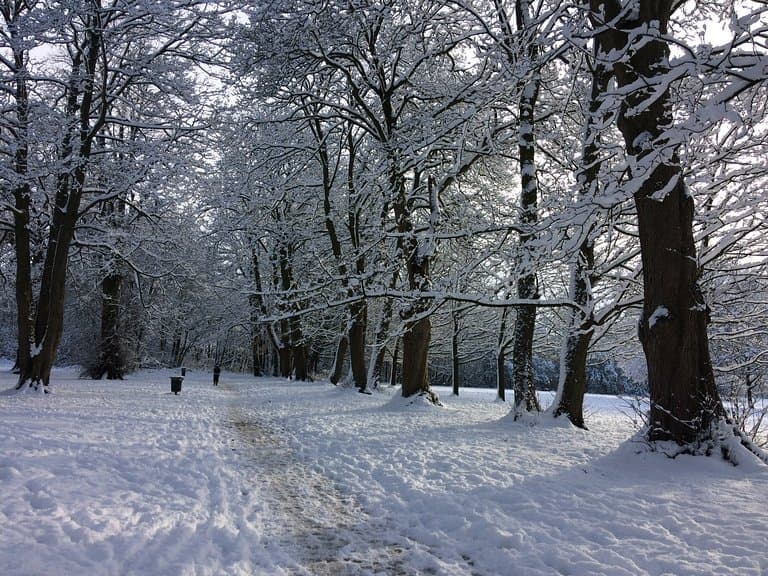 Dorridge Park midwinter 2017
