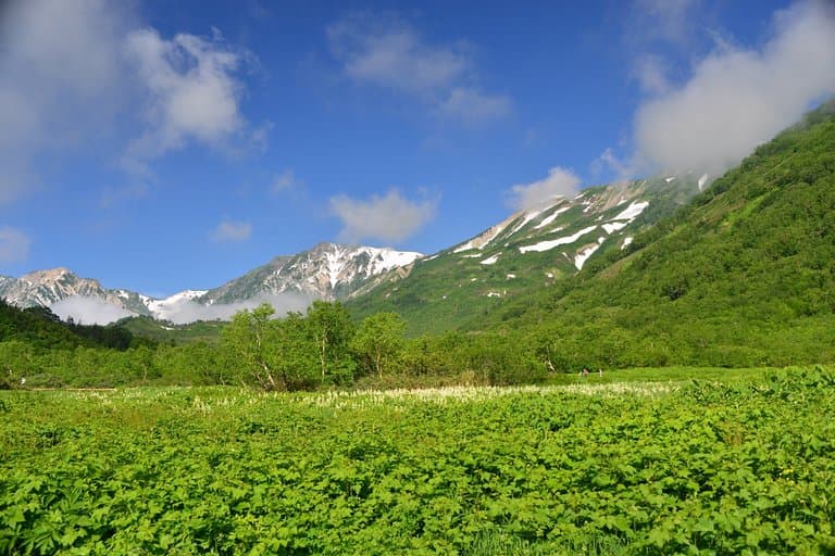 Tsugaike Nature Park
