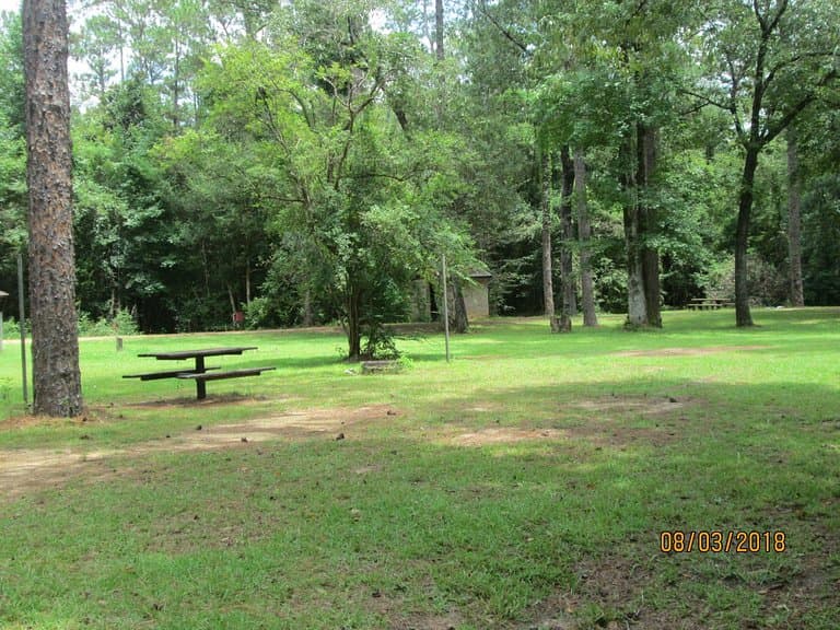 De Soto National Forest