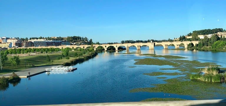 Puente de Palmas