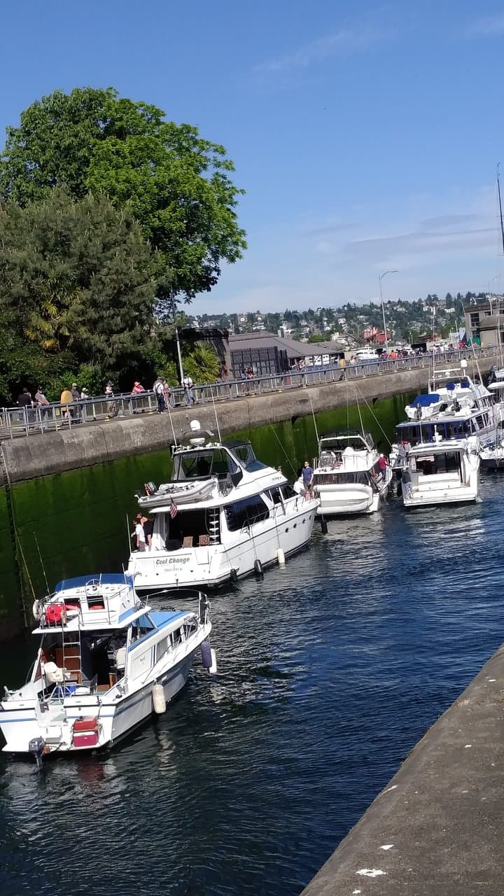 boats coming into lake lake union `