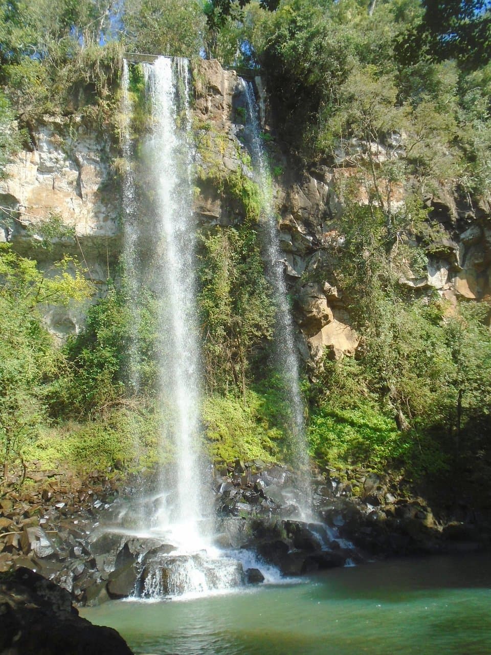 Macuco Trail and Arrechea Falls