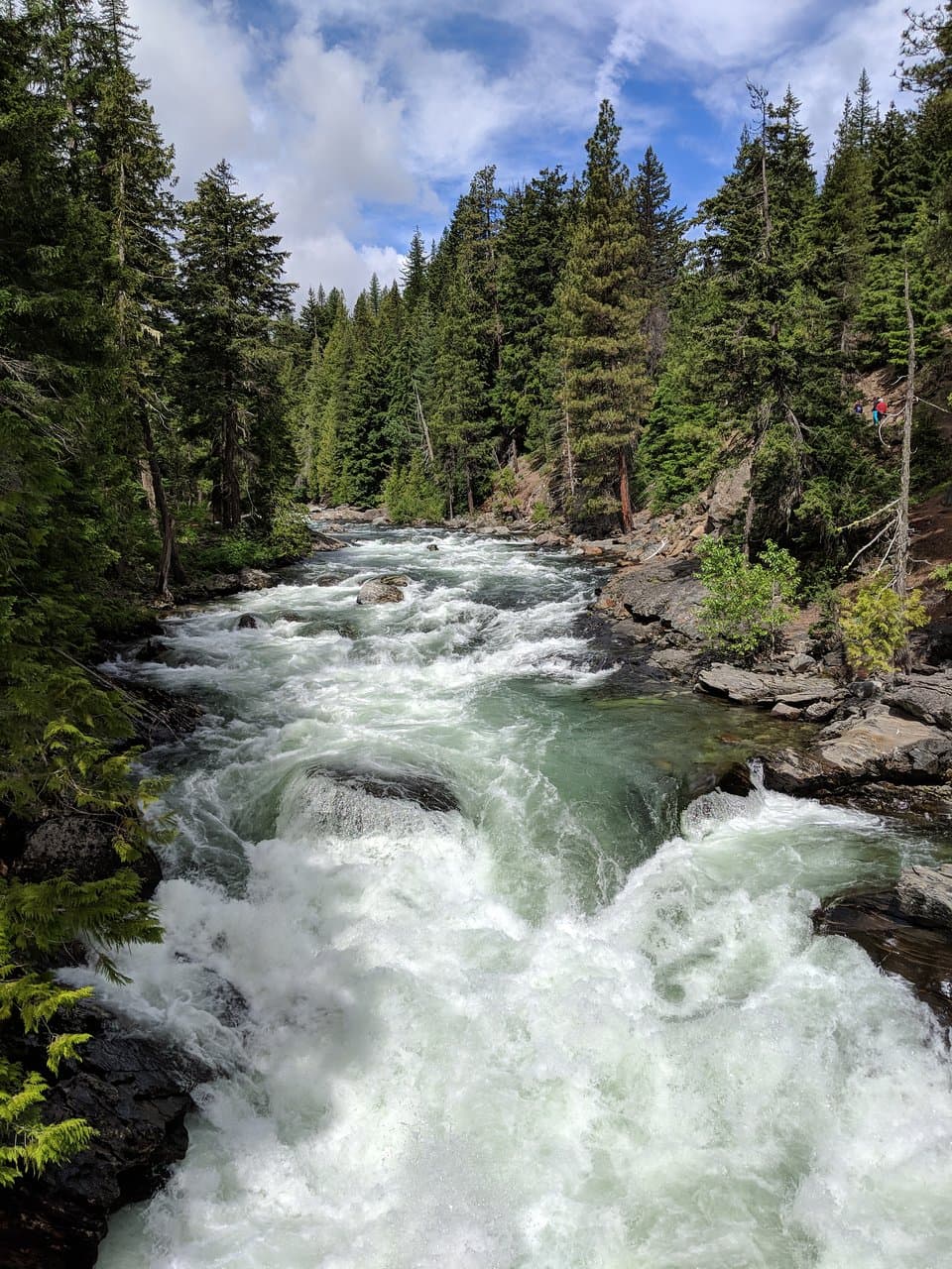 The creek was flowing today!