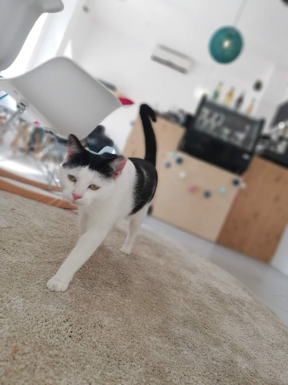 getlstd_property_photo