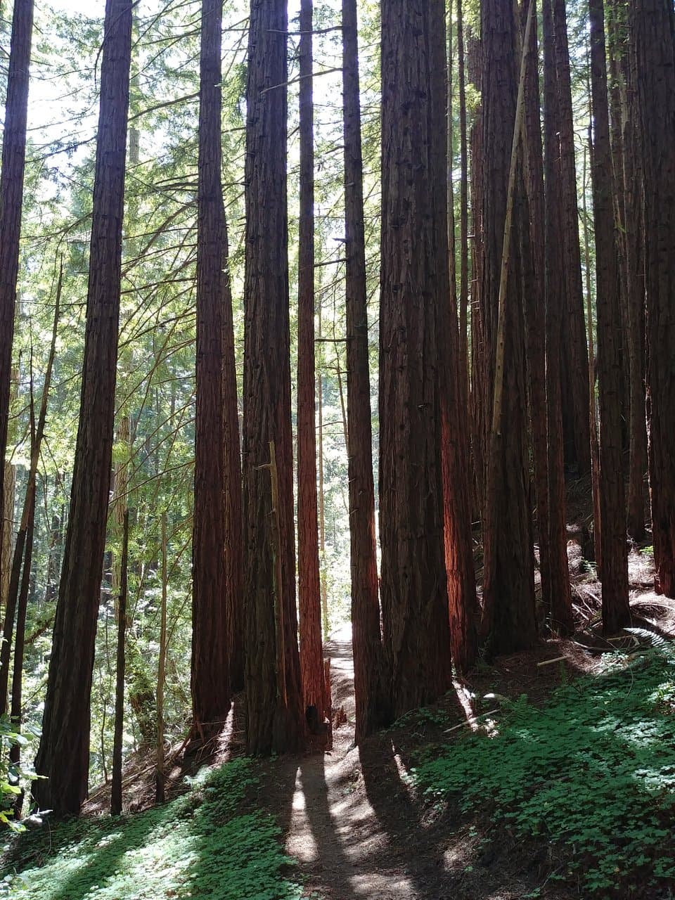 The view from the trails