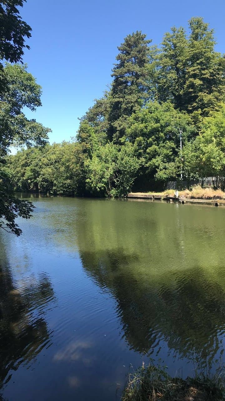 Whatman Park