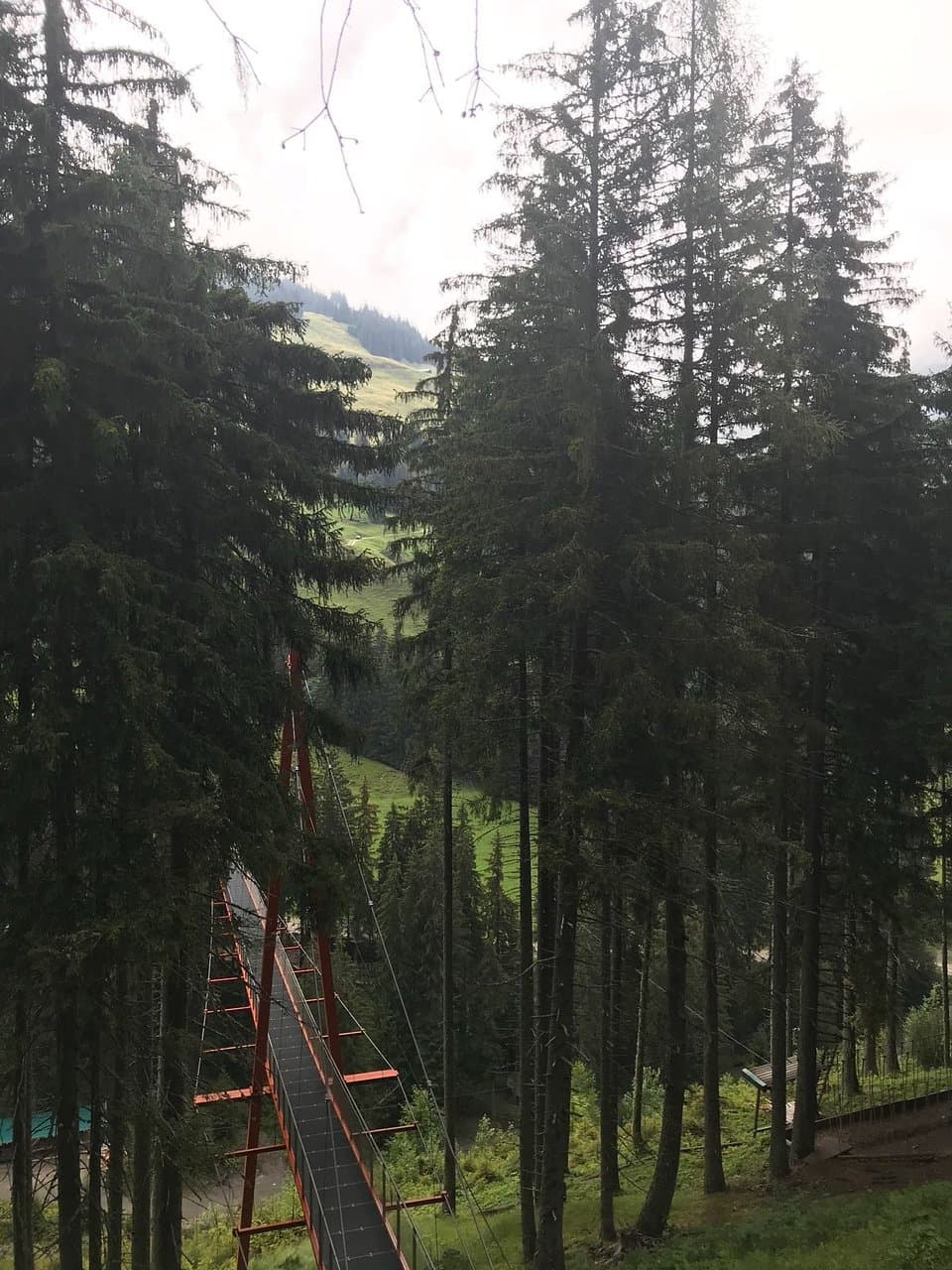 High Rope Park Hinterglemm