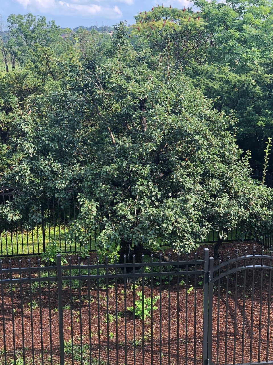 From the parking lot looking down