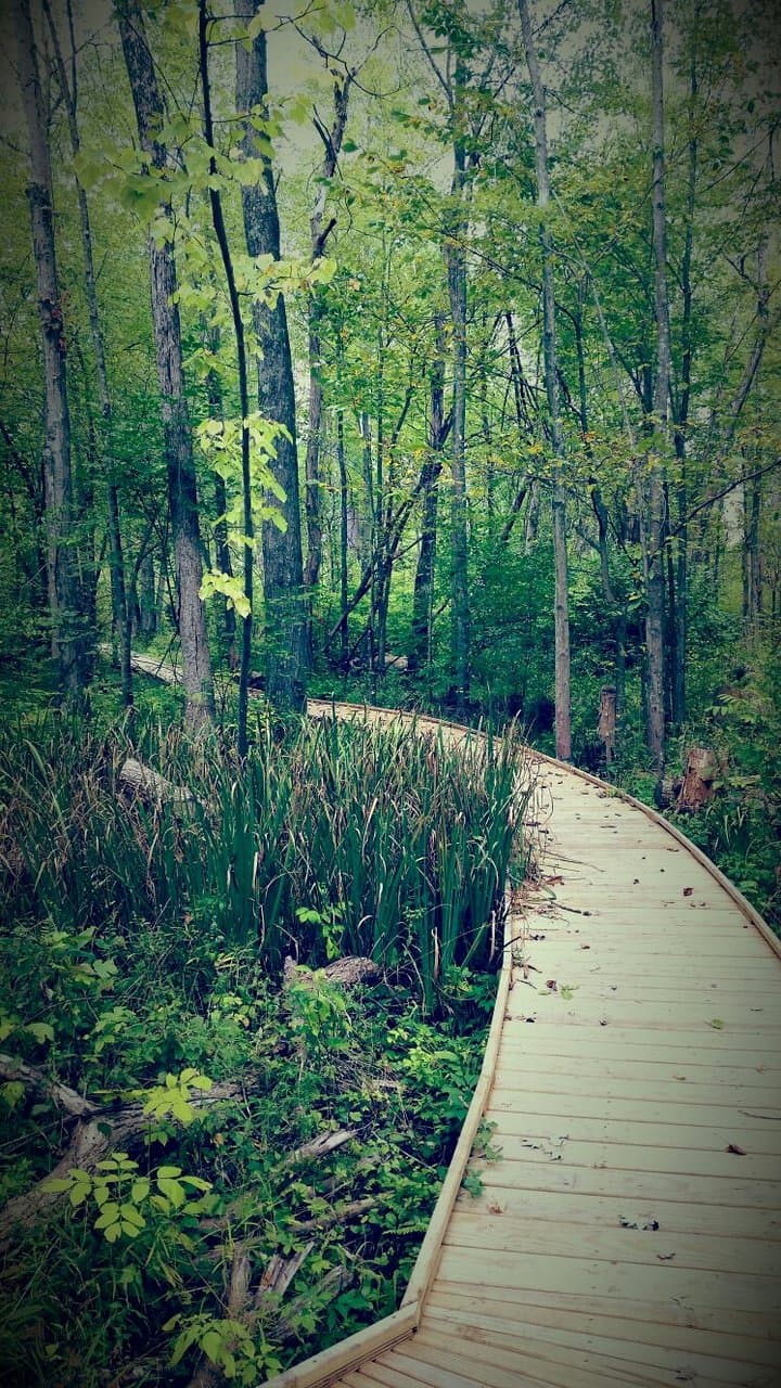 Cedar Bog Nature Preserve