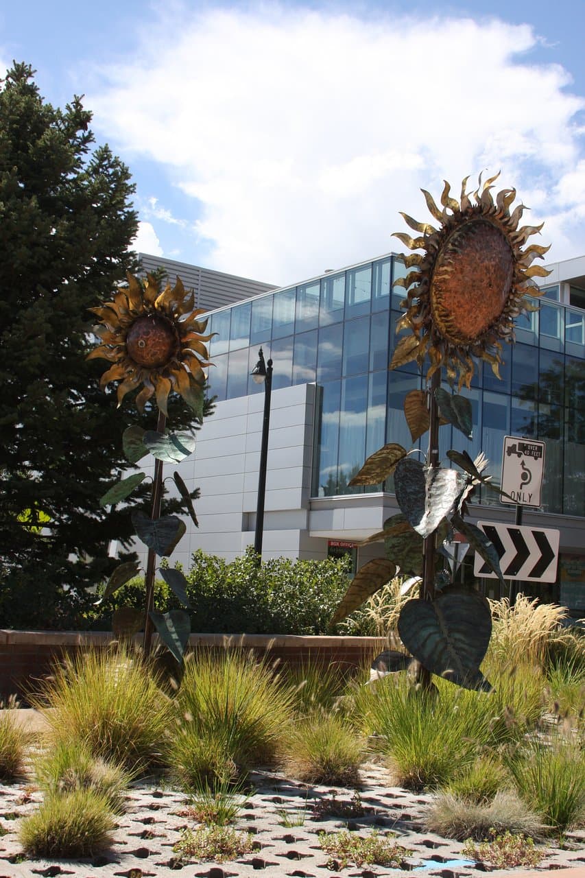 Something for everyone.