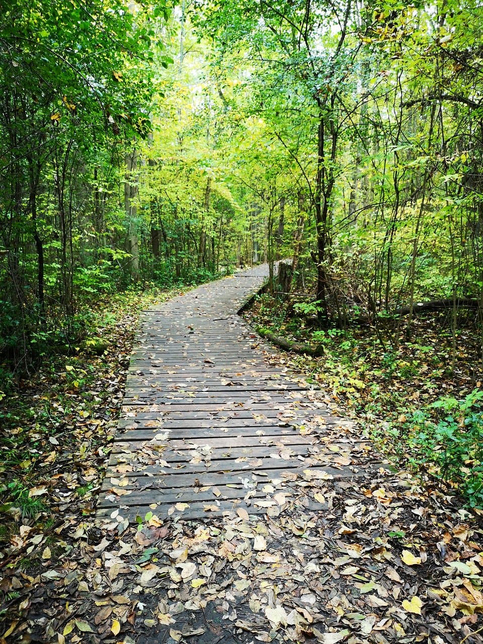 Trent Wildlife Sanctuary