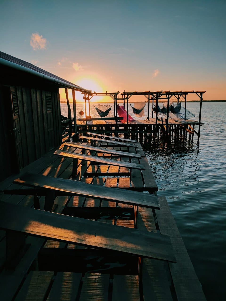 Bigi Pan Nature Reserve Suriname