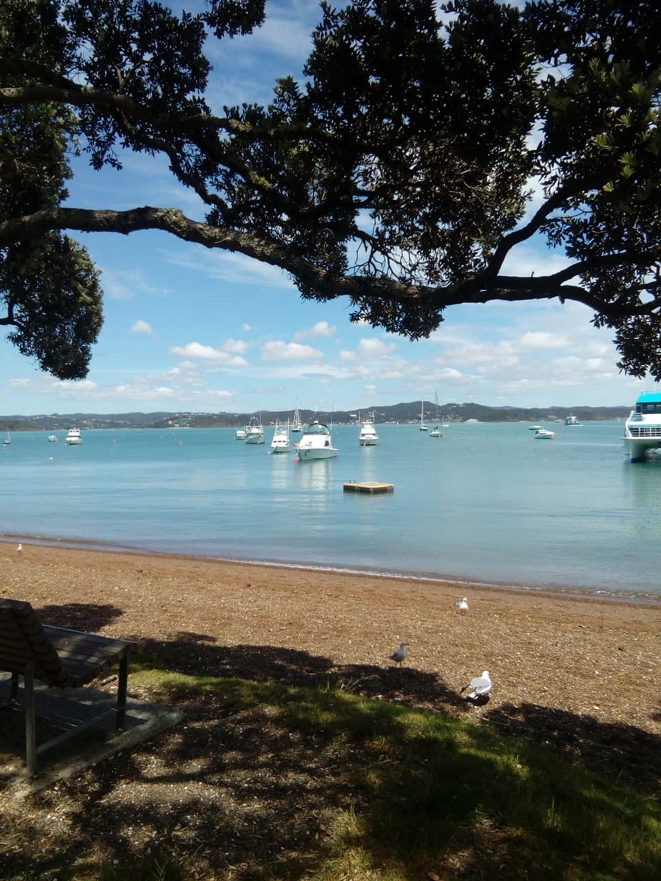 Walkway concludes in Kororareka Bay, Russell.  Plenty of cafes to aid recovery, with a view across the bay.  From here the ferry will take you back to Paihia.